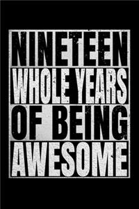 Nineteen Whole Years Of Being Awesome