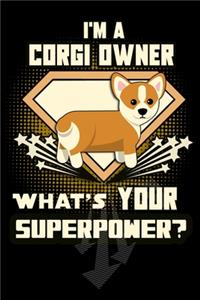 I'm A Corgi Owner What's Your Superpower?
