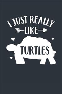 I Just Really Like Turtles Notebook - Turtle Gift for Turtle Lovers - Turtle Journal - Turtle Diary