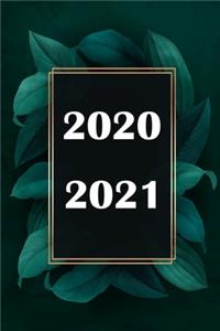 2020 / 2021