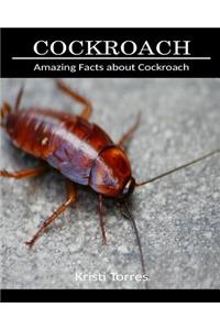 Amazing Facts about Cockroach