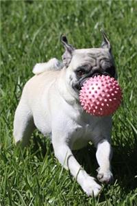 Pug Dot Grid Journal