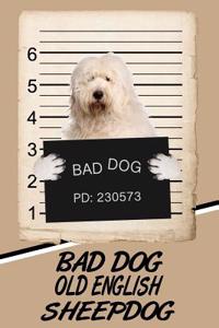 Bad Dog Old English Sheepdog