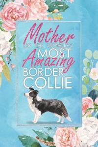 Mother of the World's Most Amazing Border Collie