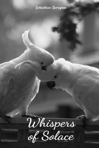 Whispers of Solace