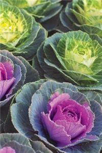 Cabbage Rows Blank Book Lined Journal (4x6)