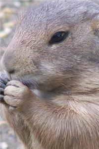Prairie Dog Having a Snack Journal