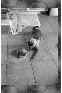 Turtles And Cats