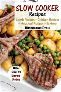 Slow Cooker Recipes - Bite Size #1