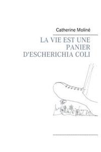 La Vie Est Une Panier d'Escherichia Coli