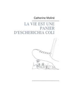 Vie Est Une Panier d'Escherichia Coli