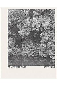 Enda Bowe - at Mirrored River
