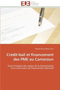 Crédit-Bail Et Financement Des Pme Au Cameroun