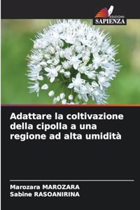 Adattare la coltivazione della cipolla a una regione ad alta umidità