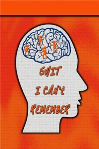Shit I Can't Remember