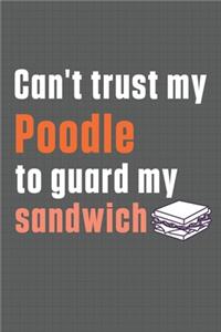 Can't trust my Poodle to guard my sandwich