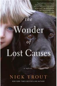 The Wonder of Lost Causes