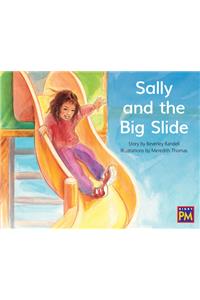 Sally and the Big Slide