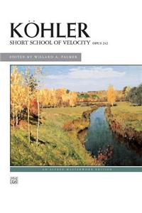 Short School of Velocity, Opus 242