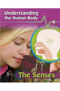 Understanding the Human Body: The Senses