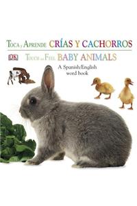 Crias y Cachorros / Baby Animals