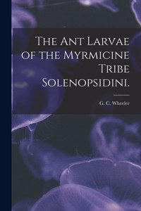 Ant Larvae of the Myrmicine Tribe Solenopsidini.