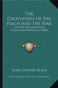 Cultivation of the Peach and the Pear
