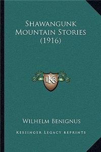 Shawangunk Mountain Stories (1916)
