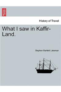 What I Saw in Kaffir-Land.