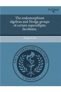 The Endomorphism Algebras and Hodge Groups of Certain Superelliptic Jacobians