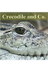 Crocodile and Co. 2017