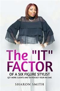 IT FACTOR of a SIX FIGURE STYLIST (Get more clients and skyrocket your income)