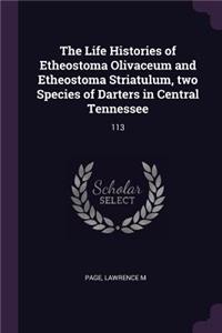 Life Histories of Etheostoma Olivaceum and Etheostoma Striatulum, two Species of Darters in Central Tennessee