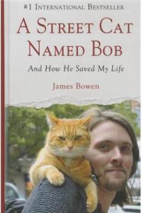 A Street Cat Named Bob: And How He Saved My Life