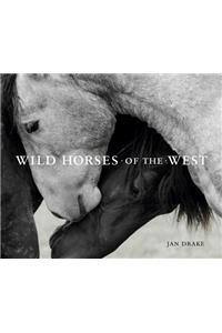 Wild Horses of the West
