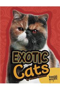 Exotic Cats