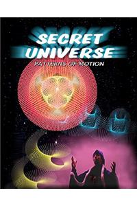 Secret Universe