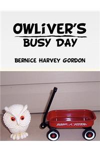 Owliver's Busy Day