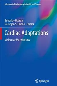Cardiac Adaptations