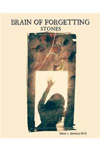 Brain of Forgetting: Stones