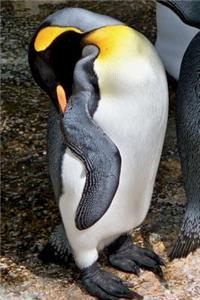 Sleeping King Penguin Journal