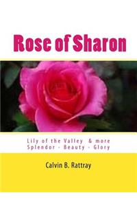 Rose of Sharon