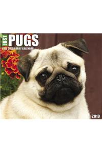 Just Pugs 2019 Box Calendar (Dog Breed Calendar)