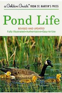 Pond Life: Revised and Updated