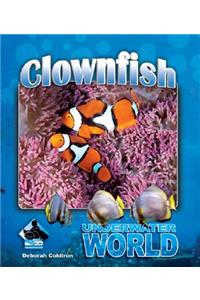 Clownfish