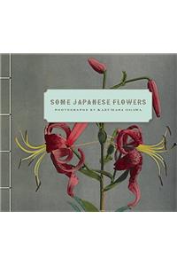 Some Japanese Flowers – Photographs by Kazumasa Ogawa