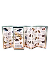 Common Butterflies of the Southwest
