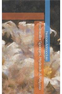 Freshwater Sponges, Hydroids & Polyzoa