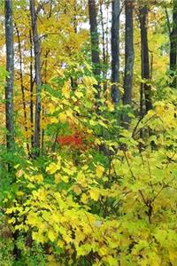 2020 Weekly Planner Nature Late Fall Season 134 Pages