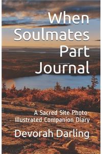 When Soulmates Part Journal (color)